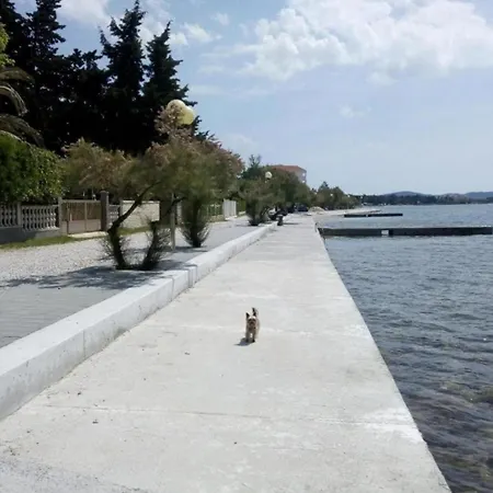Apartman Franka - 70 M From Sea Zadar